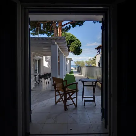 Molos Beachfront In 아파트 디아코프토